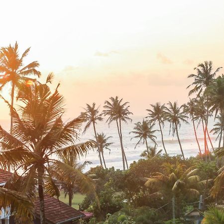 Mountain Relax Inn Weligama Eksteriør billede