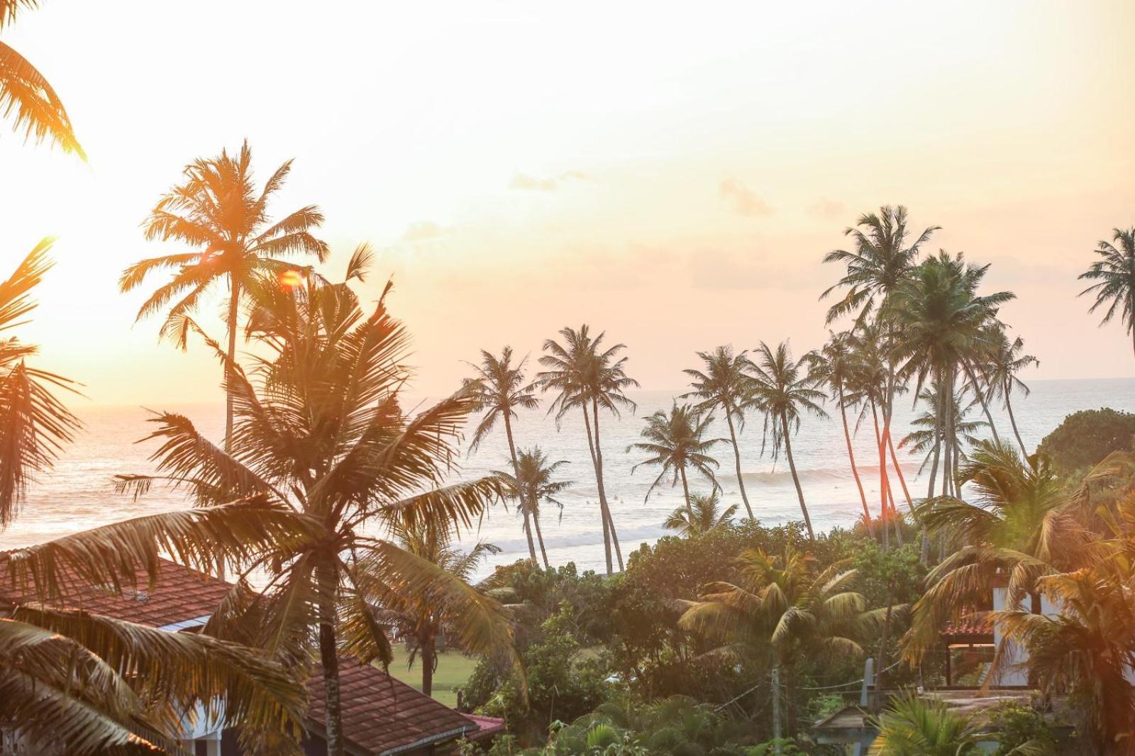 Mountain Relax Inn Weligama Eksteriør billede